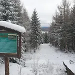Hammerblick